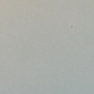 Meet your Posher, Pearl